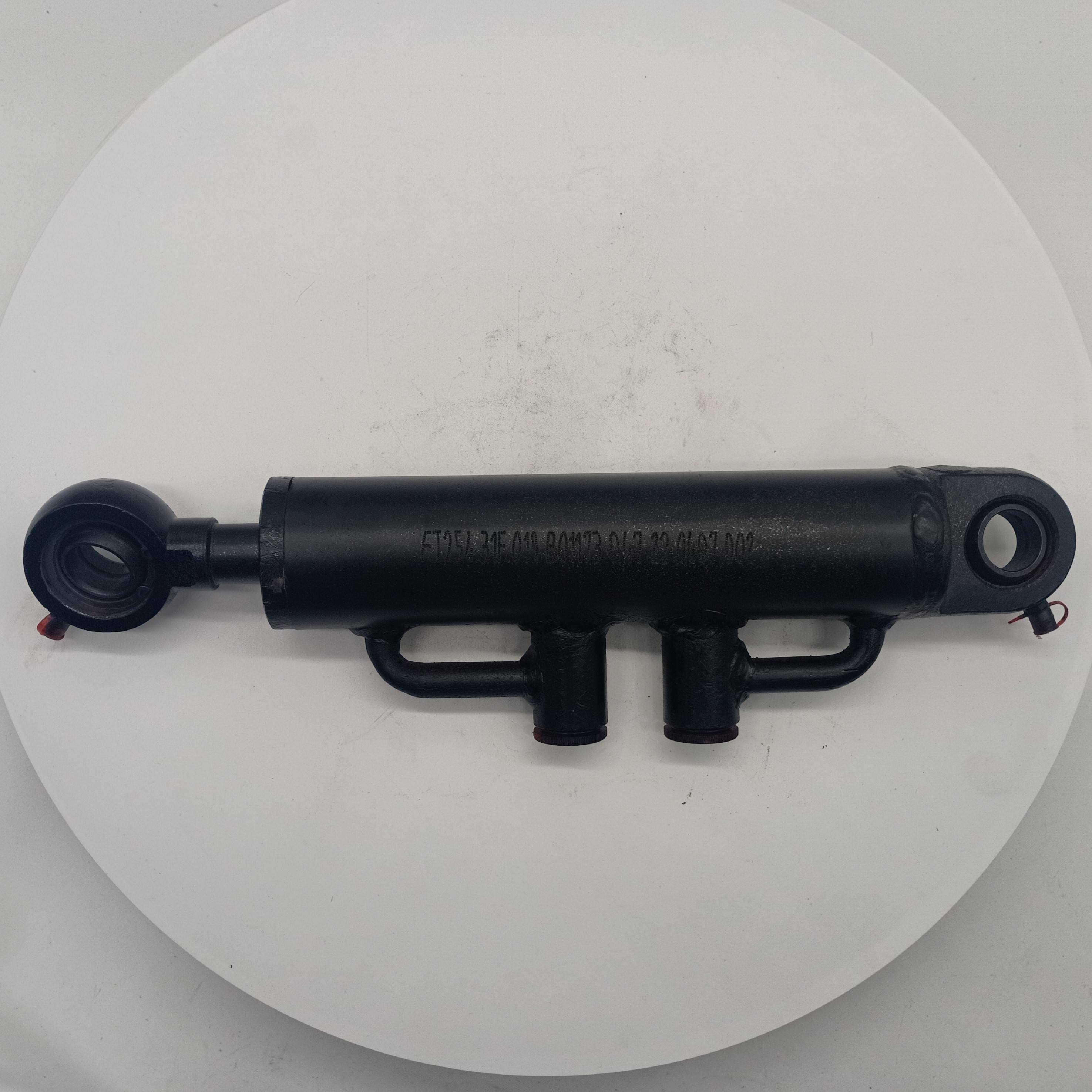 FT254.31F.019 HYDRAULIC CYLINDER ASSEMBLY for Foton Lovol Tractors